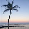 sunkissedsam13